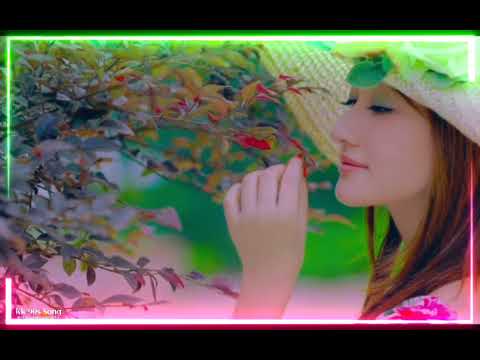 💞Khushboo Tumhare ❣️ Pyar Ki Best Audio,Song - Dilwale Kabhi Na Hare|Kumar,Sanu|Alka Yagnik💕