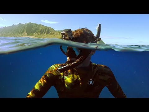 Freediving Power Plant in Hawaii! (Almost Died) | DALLMYD