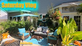 Resetting The Patio For Fall and Winter || Digging Up Tropicals