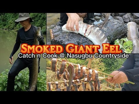 Catching and Cooking Giant Eel at Nasugbu Countryside