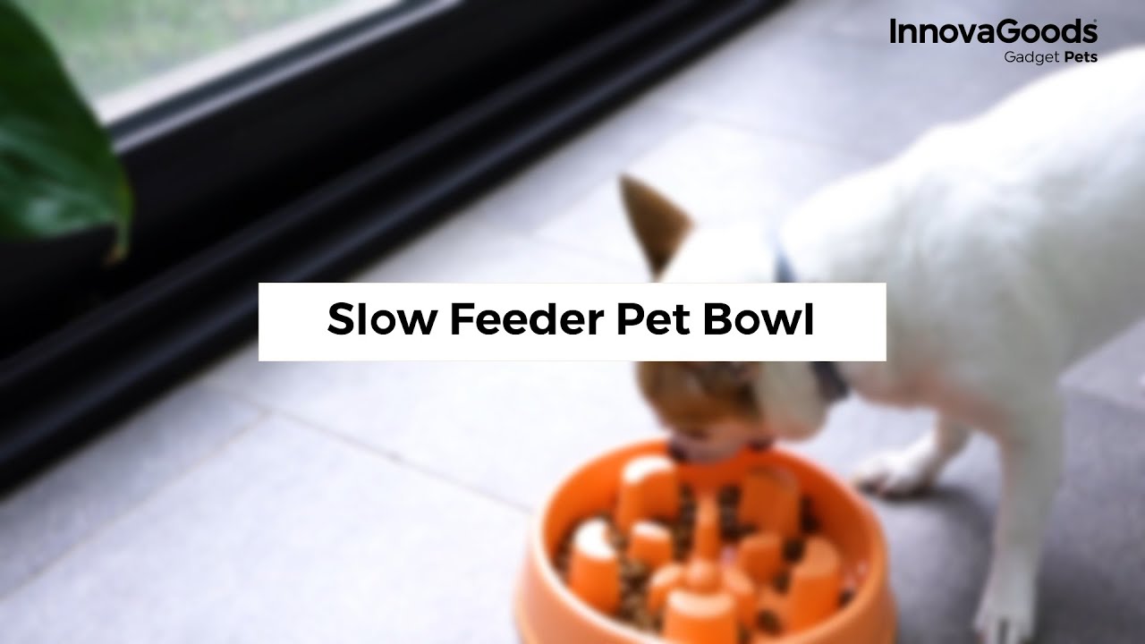 Gyvūnų lėto valgymo dubenėlis Slowfi InnovaGoods Gadget Pets