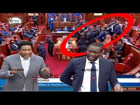 DRAMA! SIFUNA,SEN LEDAMA ALMOST FIGHT OVER 10 POINT AGENDA AFTER SIFUNA CLAIMED RUTO LIED!!