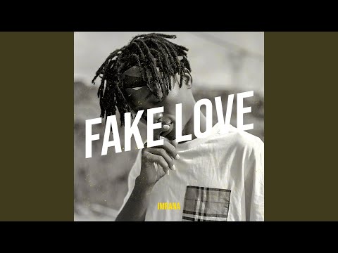 Fake Love