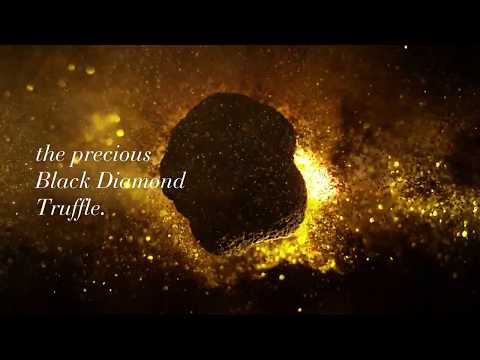 Video Estée Lauder Re-Nutriv Ultimate Diamond Dual Infusion 30ml (1.01fl oz)