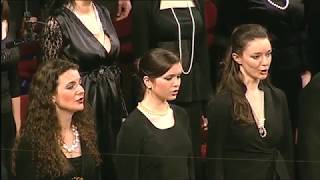 Va  pensiero Gefangenenchor · Giuseppe Verdi  Nabucco · Kendlinger