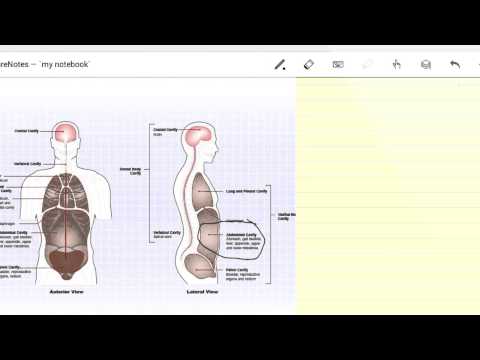 LectureNotes (Trial Version) Video