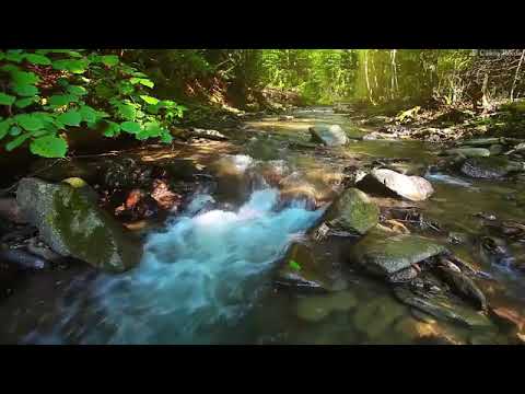 Música Para Relajarse com Flauta Indigena y Sonidos de la Naturaleza - Relajar la Mente y Dormir