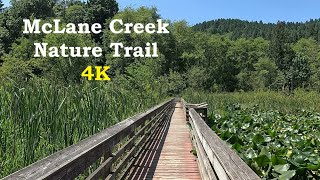 McLane Creek Nature Trail - Capitol State Forest, WA - 4K