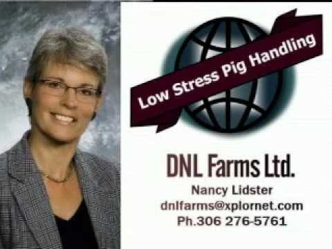 Low Stress Pig Handling in a Nutshell - revised