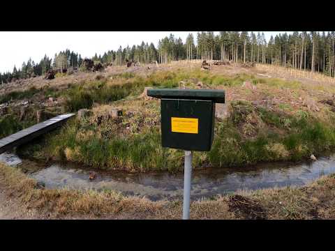 Stempelstelle 126 Lochstein, Oberer Schalker Graben - Harzer Wandernadel