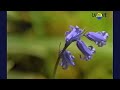 Vivaldi Four Seasons Spring Largo Art Of Landscape