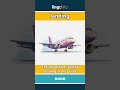 landing (noun) - definition and usage in English