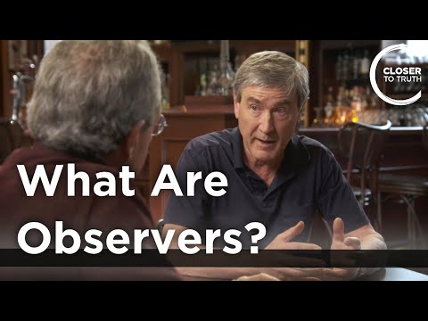 Paul Davies - What are Observers?