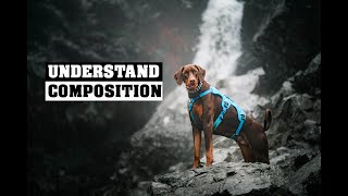 Dog photography composition