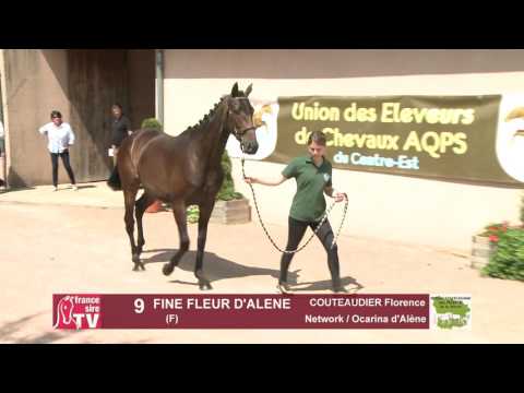 Concours Cercy 2017 - Lot 9 - Fine Fleur d'Allene