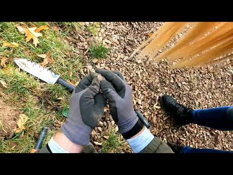 Hilfe ich werde verfolgt | Sondeln mit dem Metalldetektor