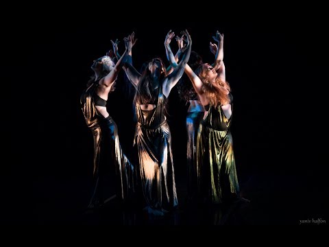 Wildflowers- Gold Star Dance Company