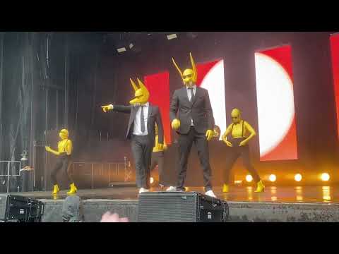 SUBWOOLFER - MELOCOTON, VG-Lista Bergen 2022