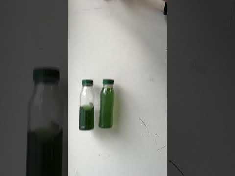 Bottle drop to show small and large masses accelerate at the same rate #physicsmadesimple