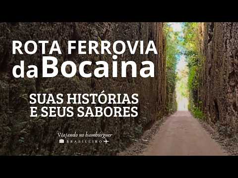 ROTA FERROVIA DA BOCAINA: histórias, sabores e paisagens de Minas Gerais