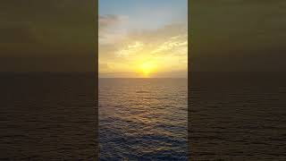 Flori on the go....💃 ❤️ 🌷 ⛱️ 🛳 🌇 #youtubeshorts #travel #trending #ytshorts #viral #cruise #nature