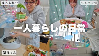 【日常vlog】一人暮らし独身女の夜〜朝⏰ 夜ご飯作って食べて大満腹‼️ナチュラルキッチン購入品,お知らせ📢✦daily life in Japan