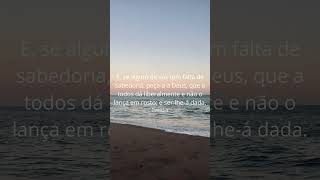 Entenda Por Que Esta Oração de Gratidão Pode Revolucionar Sua Vida - Revelação Bíblica!