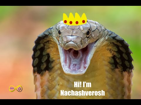 Purim Spiel 5783: Chava’s Revenge