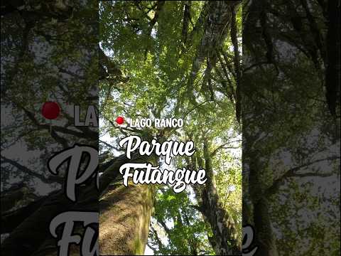 20 km de trekking por el Parque Futangue 🏞️