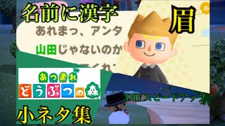【あつまれ どうぶつの森 】漢字で名前をつける等”ちょっとした”３つの裏ワザ、小ネタ集