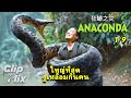 Anaconda Cursed Jungle 1 9 งูเหลือมกินคนตัวใหญ่ที่ส�
