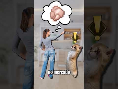 CUIDADO COM ESSE TIPO DE FRANGO NO MERCADO...