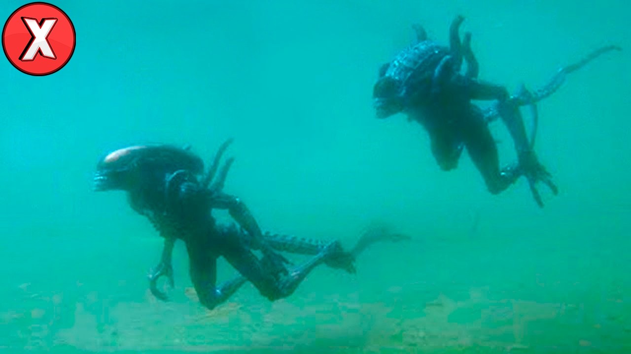 Mergulhador Registra ALGO QUE NINGUÉM Deveria Ver