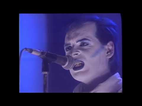 Gary Numan: Down in the Park: Live {1984 Cold Warning - Berserker Tour}