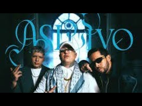 🤯 CRIS REACCION a PONTE PERRO FT DE LA GHETTO, LOCURA MIX - ASI VIVO