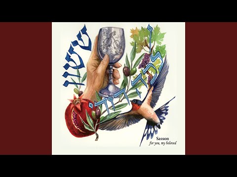 Simcha Medley: Hava Nagila / V'nisgav / Nigun Ma'oz Tzur / Rad Halaila / Siman Tov / V' Haer...