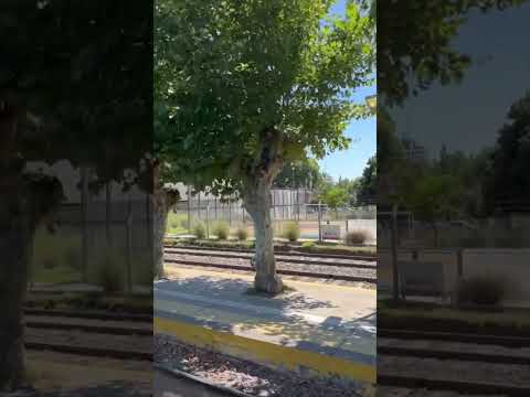 Estamos llegando a la estación de #trenes de #escobar con el Pata de Perro #shorts #buenosaires