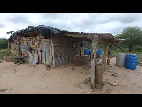 Axel el niño q vive solo en el monte de Santiago