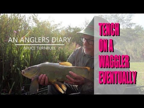 An Anglers Diary with A Moment in Time Channel - Chapter 169 - Tench Fishing