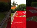 Amazing Couple Swimming Water Flowers Vacation WhatsApp Status Love Vibes