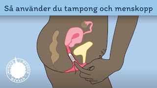 Så använder du tampong och menskopp