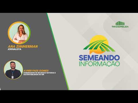 Semenado Informação debate a importância histórica e econômica do pinhão