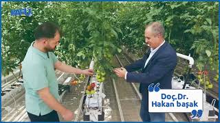 AHİ EVRAN ÜNİVERSİTESİ SERASININ ENERJİ MALİYETİNİ NASIL SIFIRLADIK? D