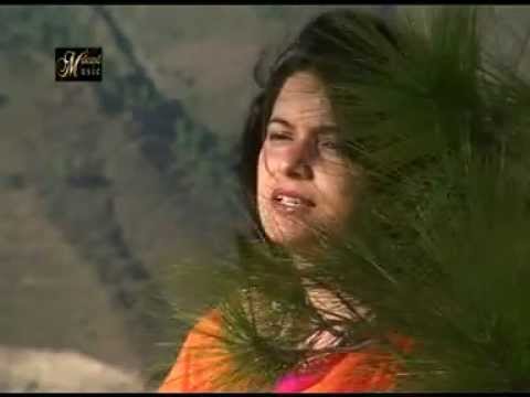 Sabo Bharmoriya Title Song ( Being Himachali)