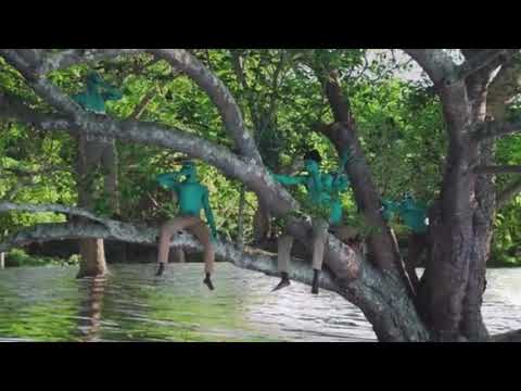 beyoncé - already (official video) ft. shatta wale & major lazer