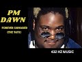 PM Dawn - Forever Damaged (The 96th) "432HZ"