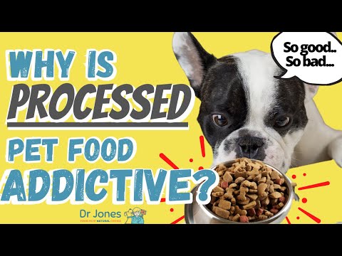 Hidden Reason Why Processed Pet Food is so Addictive