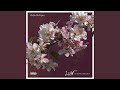 Another Luv Song (feat. Zonnique)