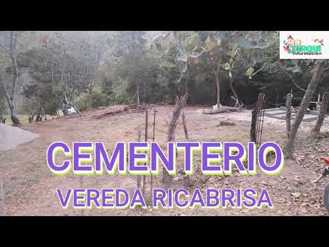 CEMENTERIO DE LA VEREDA RICABRISA (TARQUI-HUILA)