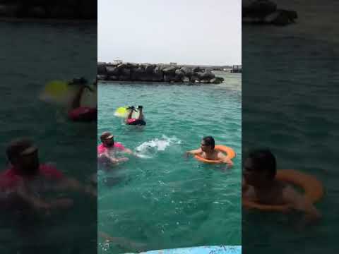 Bahadur Resort - Swimming 🏊‍♂️  area